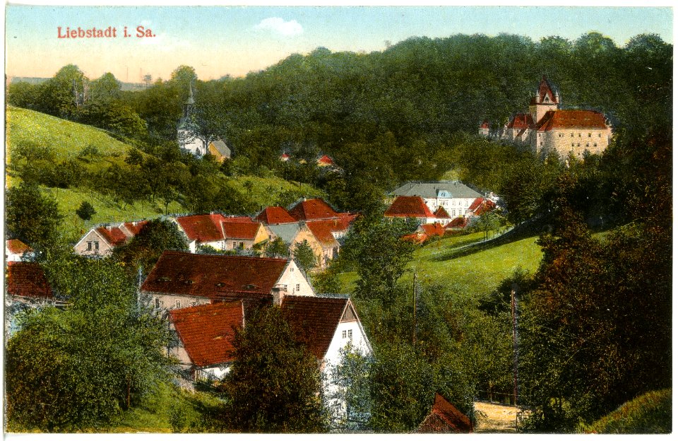 18596-Liebstadt-1915-Blick auf Liebstadt mit Schloß Kuckuckstein-Brück & Sohn Kunstverlag