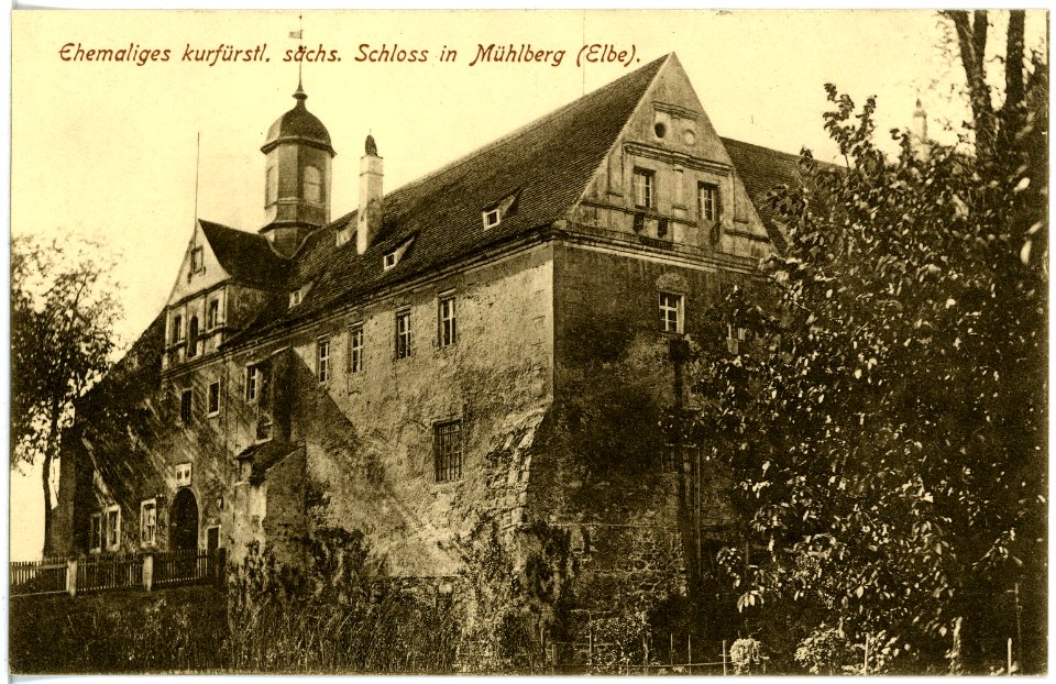 18620-Mühlberg-1915-Schloß-Brück & Sohn Kunstverlag