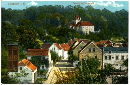 18571-Liebstadt-1914-Blick auf Liebstadt und Schloß Kuckuckstein-Brück & Sohn Kunstverlag