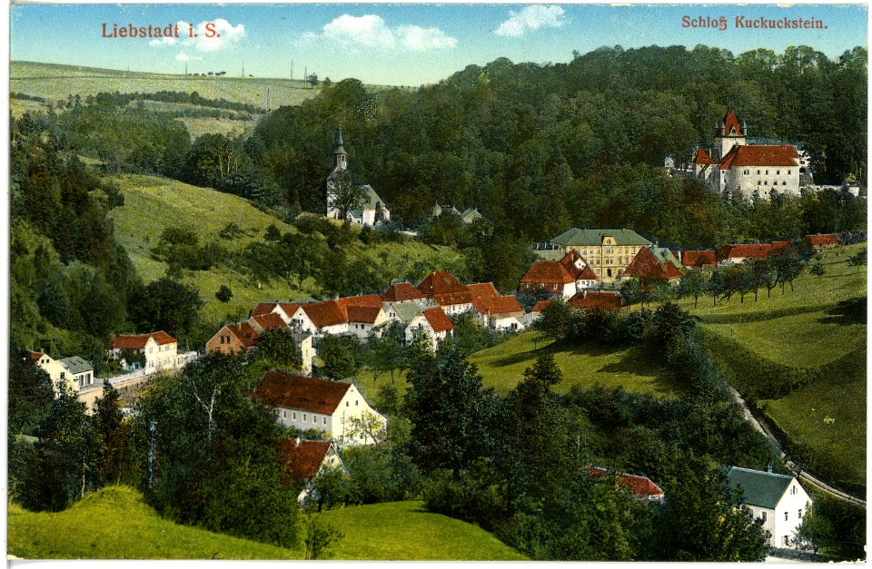 18572-Liebstadt-1914-Blick auf Liebstadt und Schloß Kuckuckstein-Brück & Sohn Kunstverlag