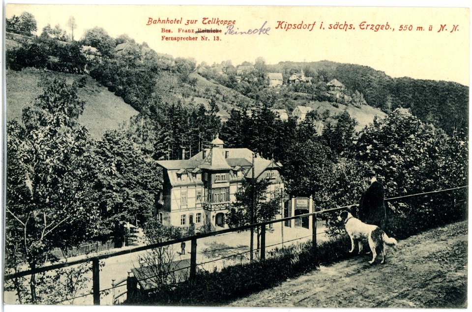 17981-Kipsdorf-1914-Hotel Tellkoppe-Brück & Sohn Kunstverlag