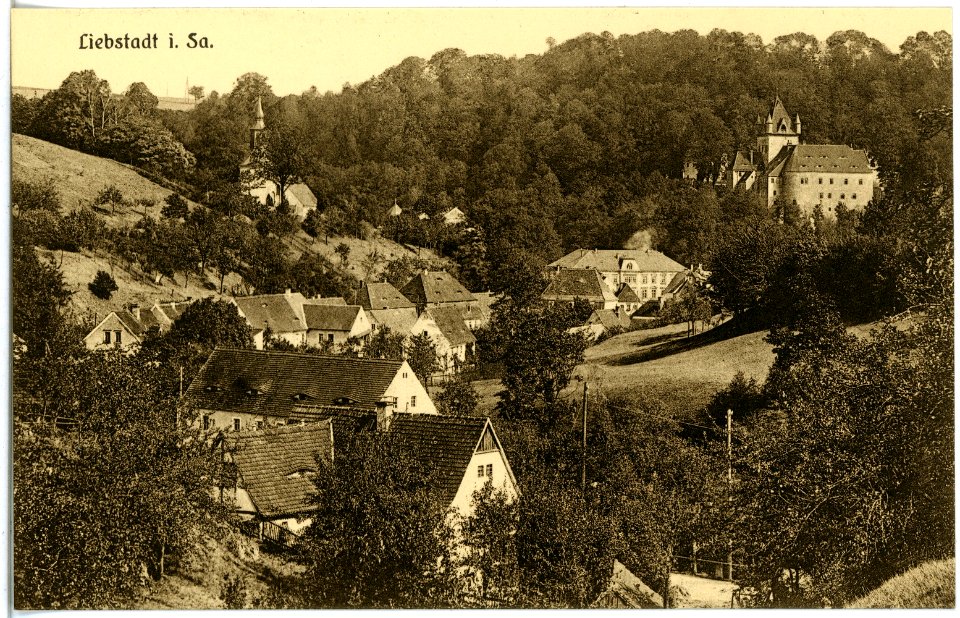18553-Liebstadt-1914-Blick auf Liebstadt und Schloß Kuckuckstein-Brück & Sohn Kunstverlag