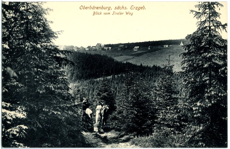 18112-Oberbärenburg-1914-Blick vom Tiroler Weg-Brück & Sohn Kunstverlag
