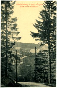 17948-Oberbärenburg-1914-Blick auf Oberbärenburg von der Waldidylle-Brück & Sohn Kunstverlag