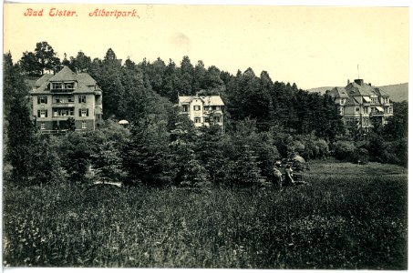 17962-Bad Elster-1914-Albertpark-Brück & Sohn Kunstverlag