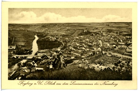 17551-Freyburg-1914-Blick auf Freyburg von der Neuenburg-Brück & Sohn Kunstverlag