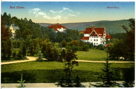 17525-Bad Elster-1914-Albertpark-Brück & Sohn Kunstverlag