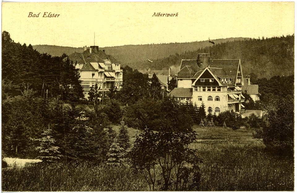 17957-Bad Elster-1914-Albertpark-Brück & Sohn Kunstverlag
