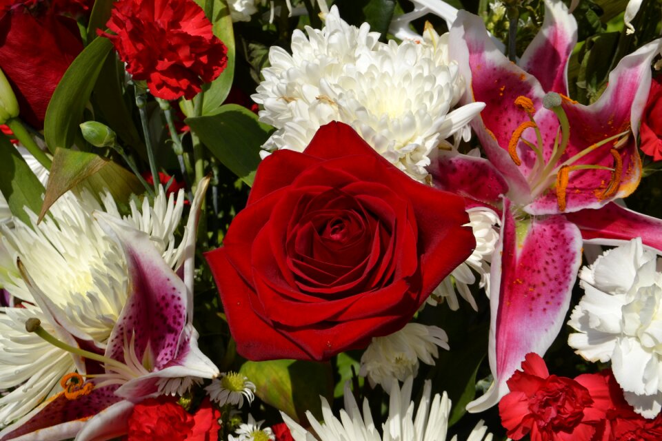 Roses bouquet beautiful