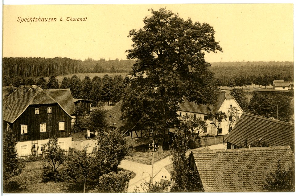 18116-Spechtshausen-1914-Blick auf Spechtshausen-Brück & Sohn Kunstverlag