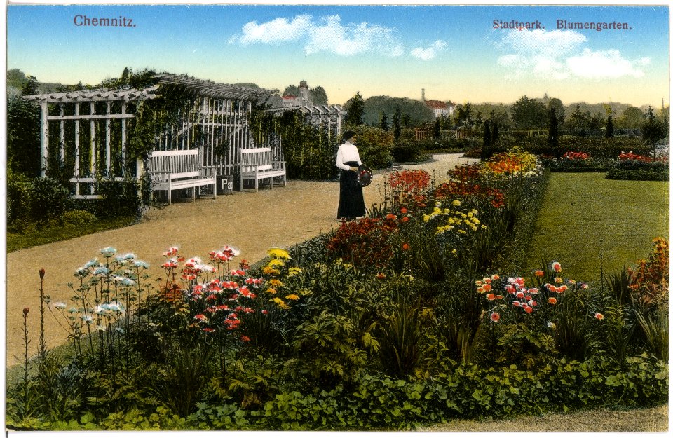 18153-Chemnitz-1914-Stadtpark Blumengarten-Brück & Sohn Kunstverlag