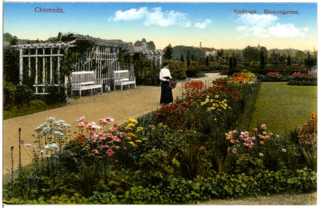 18153-Chemnitz-1914-Stadtpark Blumengarten-Brück & Sohn Kunstverlag