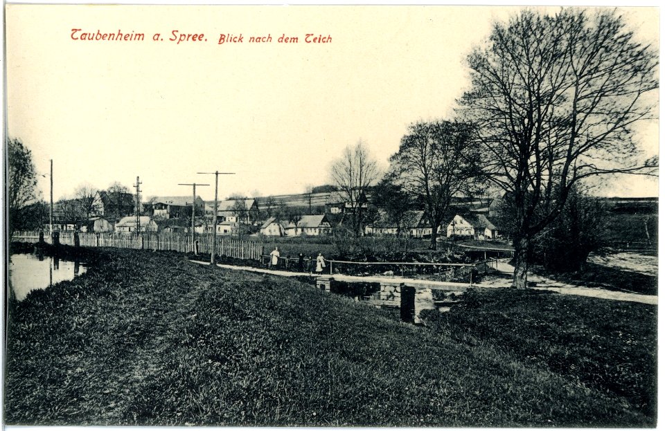17986-Taubenheim-1914-an der Spree, Oberdorf-Brück & Sohn Kunstverlag