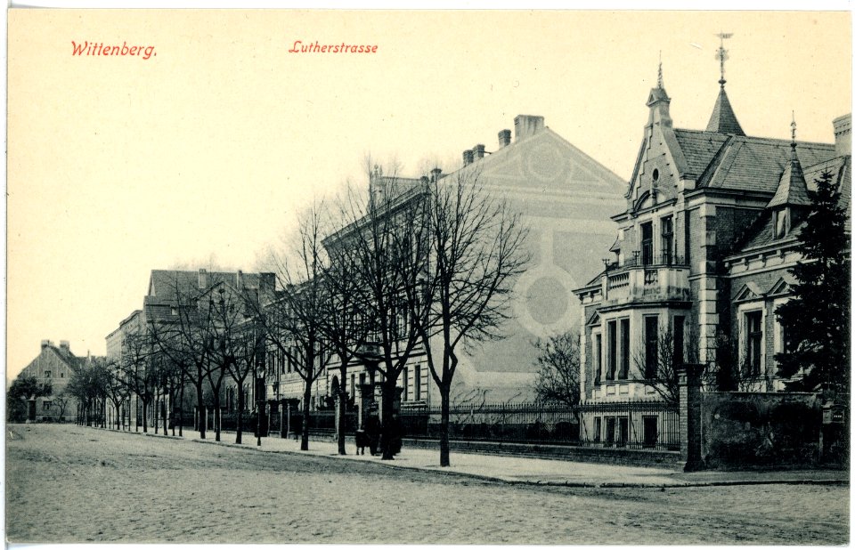 17953-Wittenberg-1914-Lutherstraße-Brück & Sohn Kunstverlag