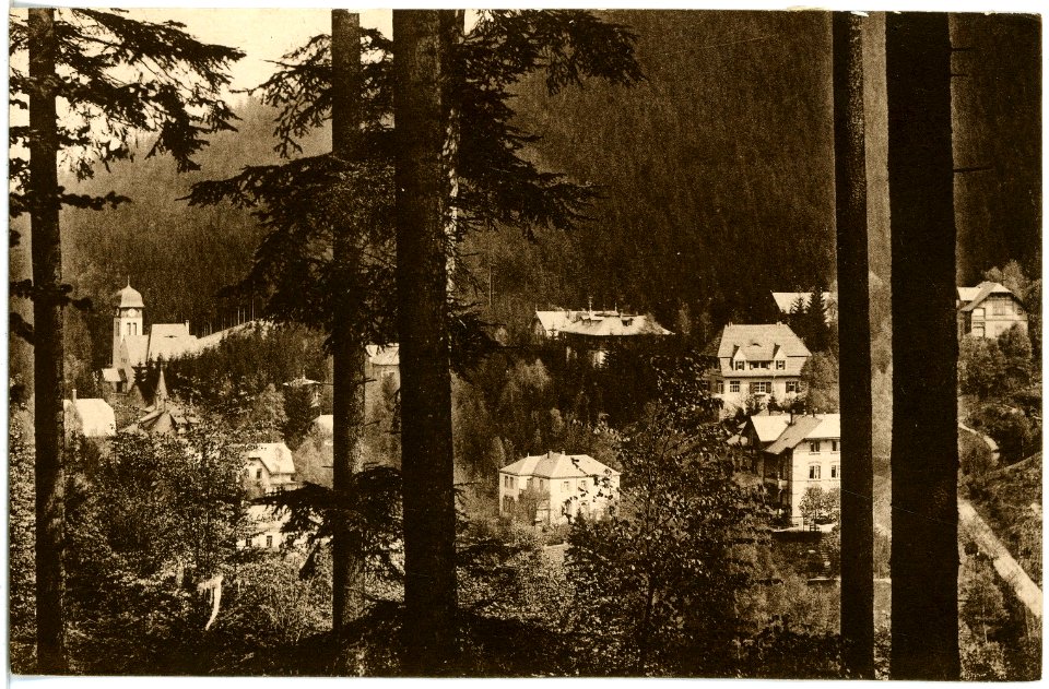 17945-Kipsdorf-1914-Blick auf Kipsdorf-Brück & Sohn Kunstverlag