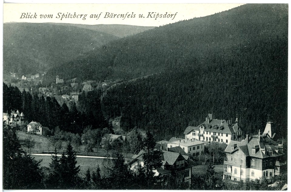 17890-Bärenfels-1914-Blick auf Bärenfels und Kipsdorf vom Spitzberg aus-Brück & Sohn Kunstverlag