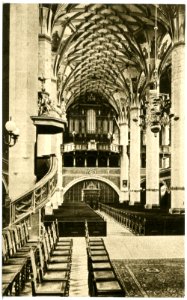 17626-Pirna-1914-Stadtkirche - Inneres-Brück & Sohn Kunstverlag