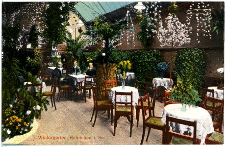 17727-Hainichen-1914-Wintergarten-Brück & Sohn Kunstverlag
