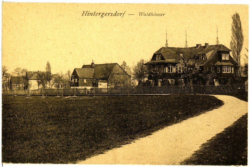 17744-Hintergersdorf-1914-Waldhäuser-Brück & Sohn Kunstverlag