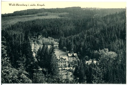 17502-Bärenburg-1914-Hotel Schäfermühle-Brück & Sohn Kunstverlag