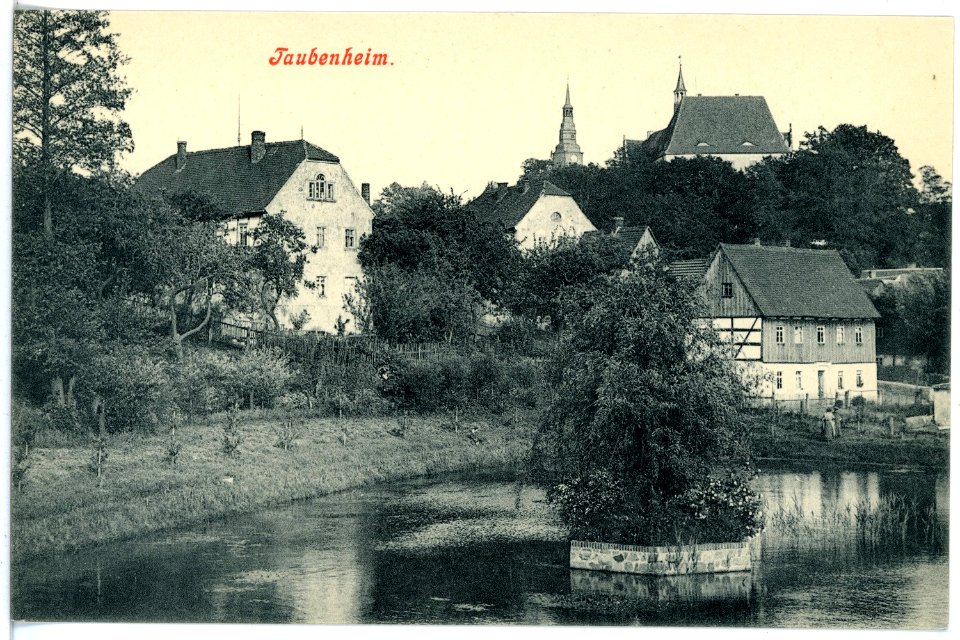 17858-Taubenheim (Klipphausen)-1914-Blick auf Taubenheim-Brück & Sohn Kunstverlag