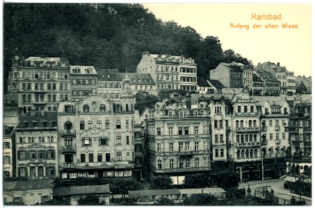 17783-Karlsbad-1914-Anfang der alten Wiese-Brück & Sohn Kunstverlag