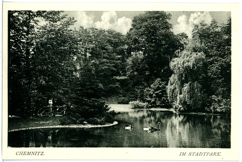 18047-Chemnitz-1914-Im Stadtpark-Brück & Sohn Kunstverlag