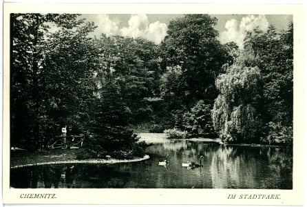 18047-Chemnitz-1914-Im Stadtpark-Brück & Sohn Kunstverlag