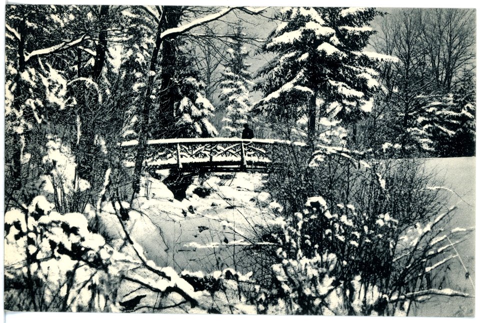 18105-Großschweidnitz-1914-Landesanstalt, Parkpartie im Winter-Brück & Sohn Kunstverlag