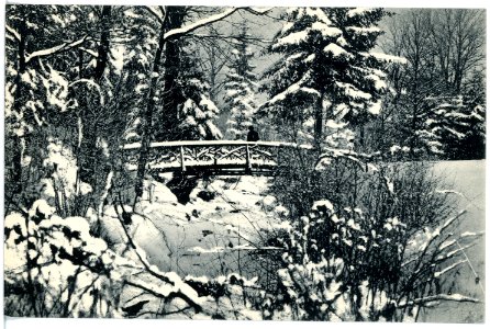 18105-Großschweidnitz-1914-Landesanstalt, Parkpartie im Winter-Brück & Sohn Kunstverlag