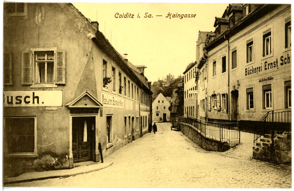 17294-Colditz-1914-Haingasse-Brück & Sohn Kunstverlag