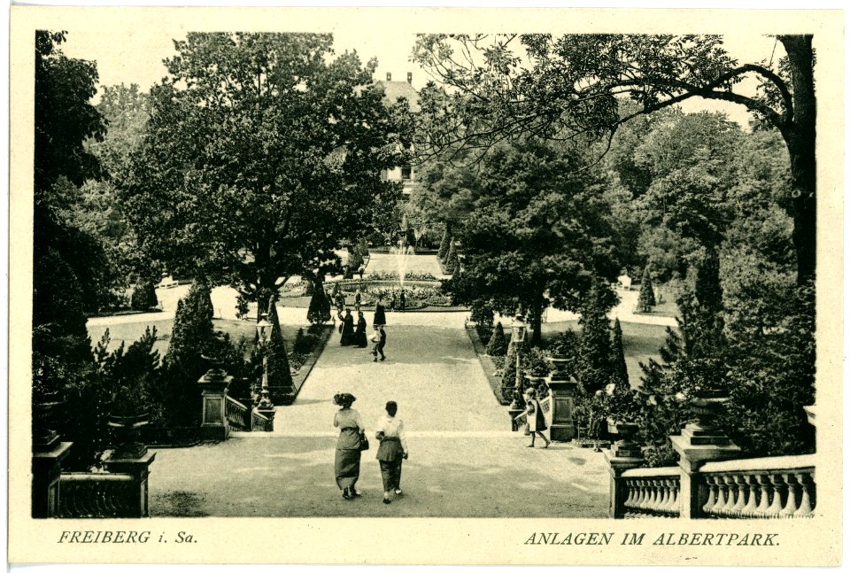 18056-Freiberg-1914-Albertpark-Brück & Sohn Kunstverlag