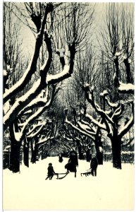 18106-Großschweidnitz-1914-Landesanstalt, Lindenallee im Winter-Brück & Sohn Kunstverlag