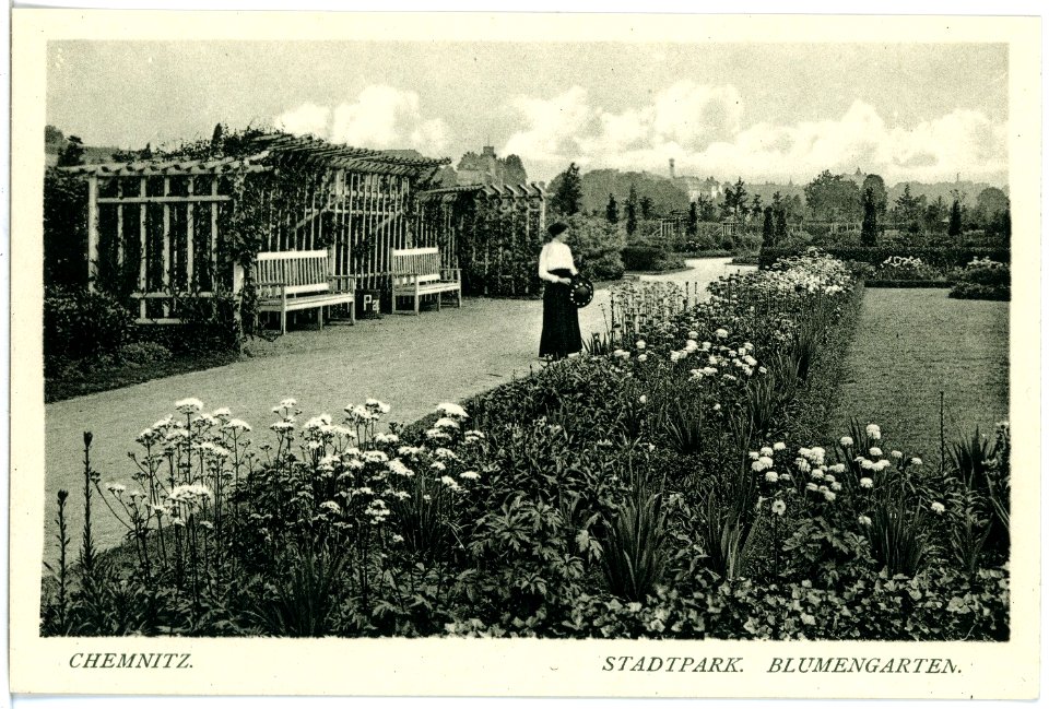 18050-Chemnitz-1914-Im Stadtpark - Blumengarten-Brück & Sohn Kunstverlag