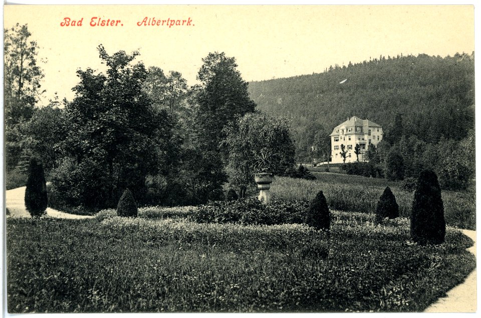 17965-Bad Elster-1914-Albertpark-Brück & Sohn Kunstverlag