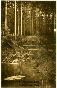 17846-Grillenburg-1914-Warnsdorfer Quelle im Grillenburger Wald-Brück & Sohn Kunstverlag