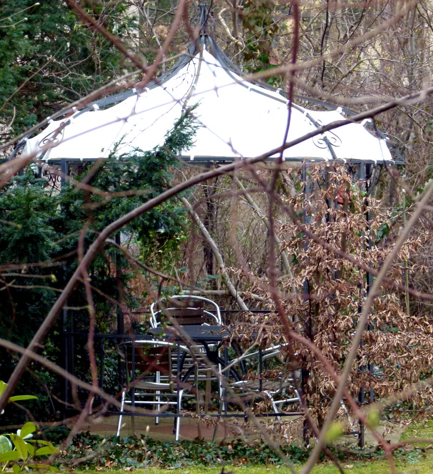 Pavillon Tolkewitzer Straße 54 Blasewitz