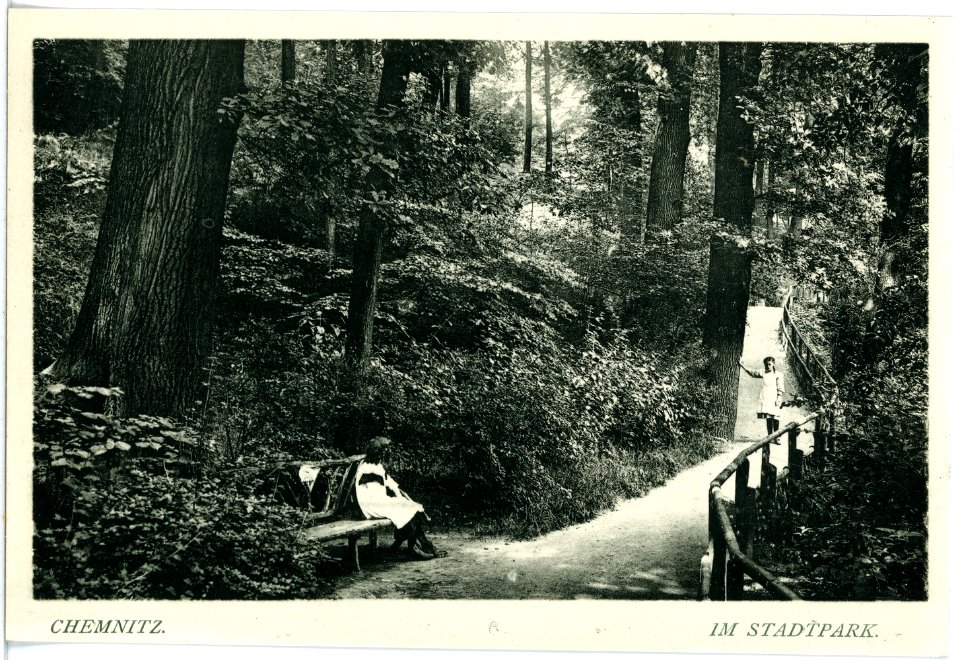 18045-Chemnitz-1914-Im Stadtpark-Brück & Sohn Kunstverlag
