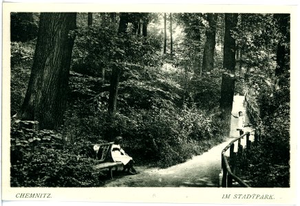 18045-Chemnitz-1914-Im Stadtpark-Brück & Sohn Kunstverlag