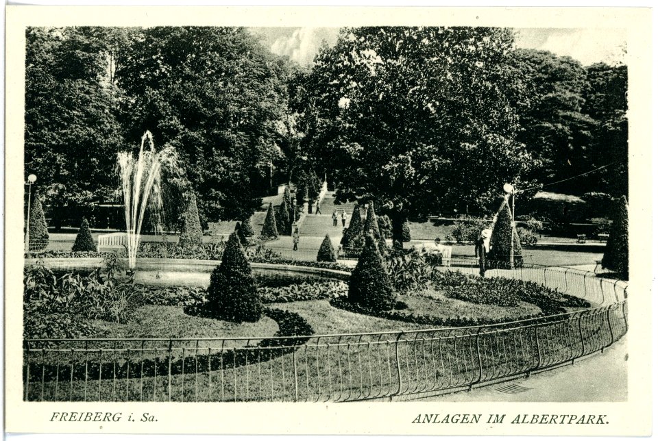 18059-Freiberg-1914-Albertpark-Brück & Sohn Kunstverlag