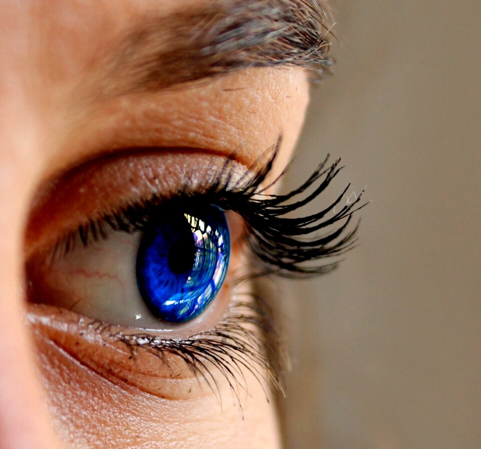 Close up eyelashes woman face