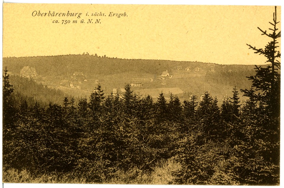 17877-Oberbärenburg-1914-Blick auf Oberbärenburg-Brück & Sohn Kunstverlag