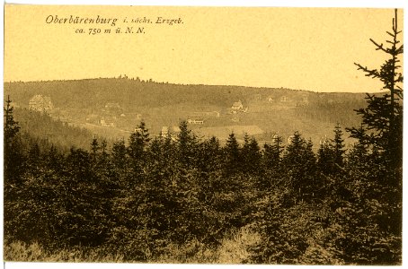 17877-Oberbärenburg-1914-Blick auf Oberbärenburg-Brück & Sohn Kunstverlag