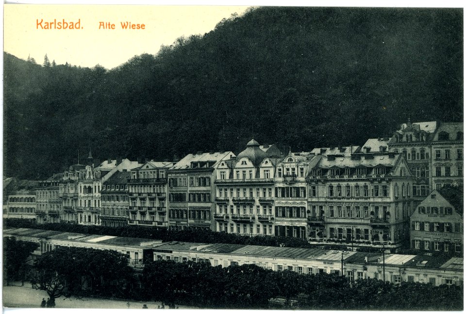 17784-Karlsbad-1914-Alte Wiese-Brück & Sohn Kunstverlag