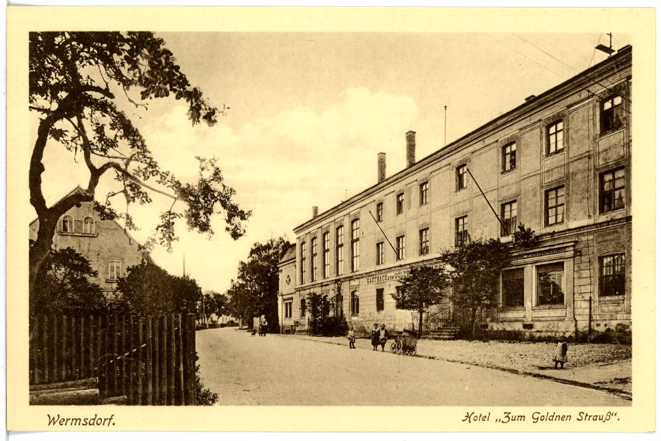 17832-Wermsdorf-1914-Hotel zum Goldenen Strauß-Brück & Sohn Kunstverlag