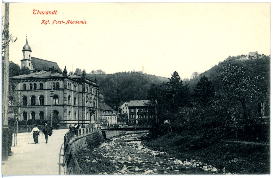 17753-Tharandt-1914-Forstakademie-Brück & Sohn Kunstverlag