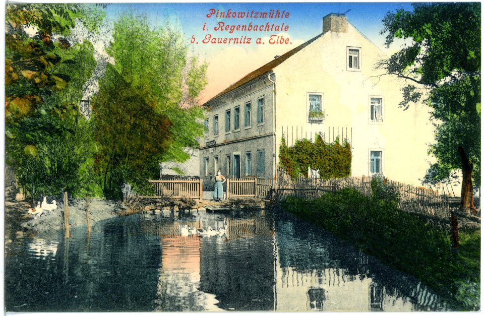 17864-Gauernitz-1914-Pinkowitzmühle im Regebachtal mit Wassergeflügel-Brück & Sohn Kunstverlag