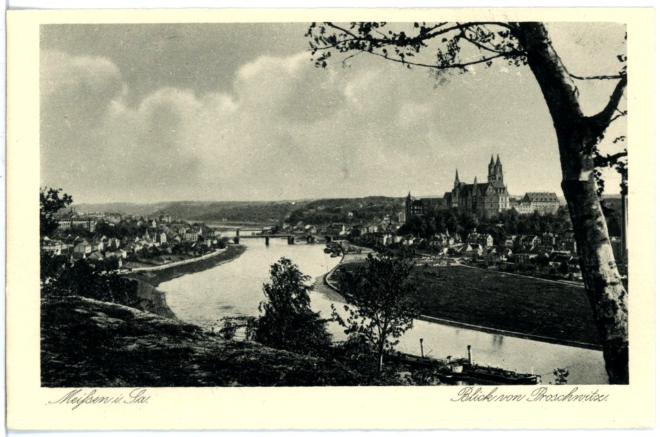17849-Meißen-1914-Blick von Proschwitz - Dom - Elbe mit Schlepper-Brück & Sohn Kunstverlag