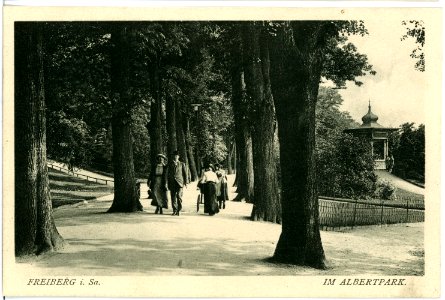 18061-Freiberg-1914-Im Albertpark-Brück & Sohn Kunstverlag