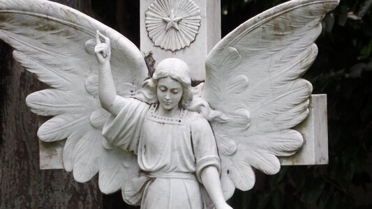 White angel wings gray angel